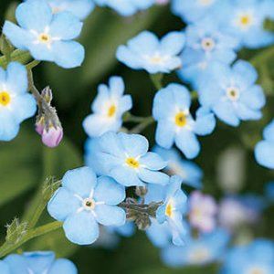 Meet your Posher, Madeline